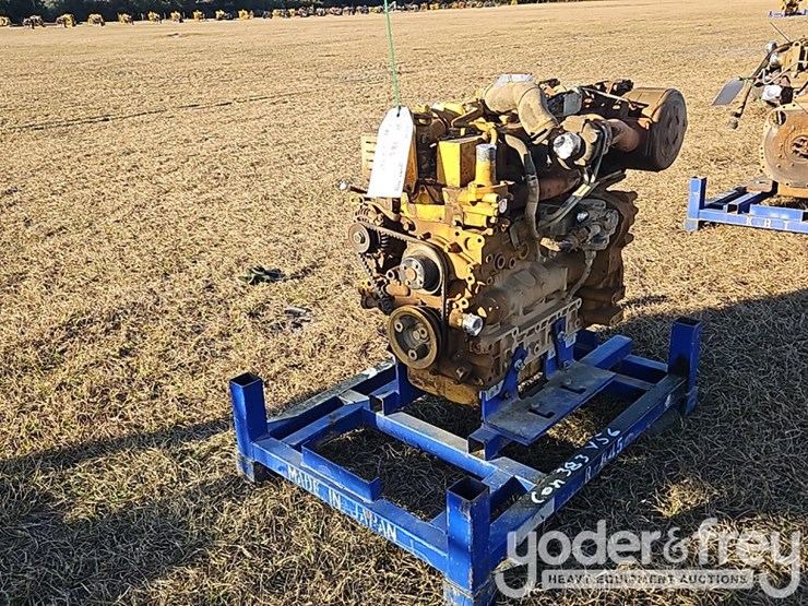 cat-3.8b-image-2