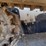 bobcat-t770-image-29