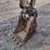 caterpillar-308d-cr-image-26