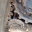 bobcat-t770-image-22
