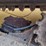 caterpillar-299d2-image-16