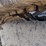 bobcat-e42-image-15