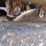 bobcat-t190-image-26