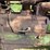john-deere-a-image-21