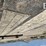 2012-felling-ft-50-3-lp-image-39