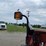 case-ih-1063-image-33