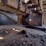 bobcat-e50-image-30