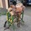 circle-y-brand-saddle-image-1