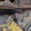 komatsu-d51pxi-22-image-14