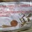 2.4"-x-33'-hd-1-ton-ratchet-straps-image-2