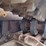 caterpillar-277b-image-24
