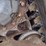 bobcat-t595-image-15