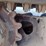 bobcat-t180-image-25