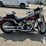 2005-harley-davidson-fat-boy-8414-image-4