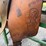 circle-y-brand-saddle-image-18