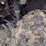 bobcat-3400-image-17