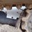 bobcat-t595-image-18
