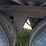 2019-carrier-x4-7300-image-9