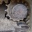 takeuchi-tl8r2-image-15