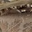 bobcat-t190-image-14