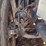 international-prostar-image-26