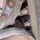 takeuchi-tl6r-image-16