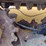 caterpillar-299d2-image-24