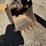 2001-bobcat-331-image-8