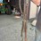 horse-tack-image-18
