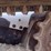 bobcat-t740-image-18