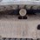 case-cx50b-image-32