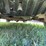 2013-chevrolet-silverado-2500hd-lt-image-25