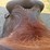 longhorn-saddle-image-4