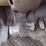 international-prostar-image-10