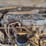 caterpillar-th83-image-27