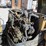 2005-caterpillar-cb-334e-image-5