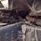 freightliner-114sd-image-33