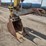 caterpillar-308e2-cr-image-24