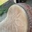 circle-y-brand-saddle-image-13