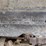 2005-ox-bodies-16-ft-image-35