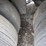 2022-stoughton-van-image-8