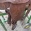 longhorn-saddle-image-6