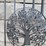 approx-7'-x-188"-l/r-leaf-metal-driveway-gate-image-4