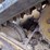 14-caterpillar-279d-image-27