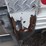 2018-freightliner-m2-106-image-12