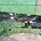john-deere-630-image-24