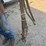 horse-tack-image-17