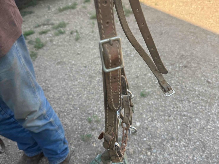 horse-tack-image-17