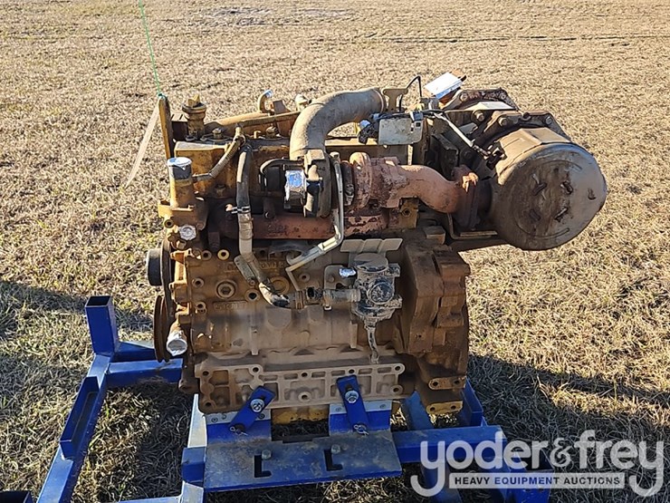 cat-3.8b-image-3
