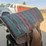 horse-tack-image-8